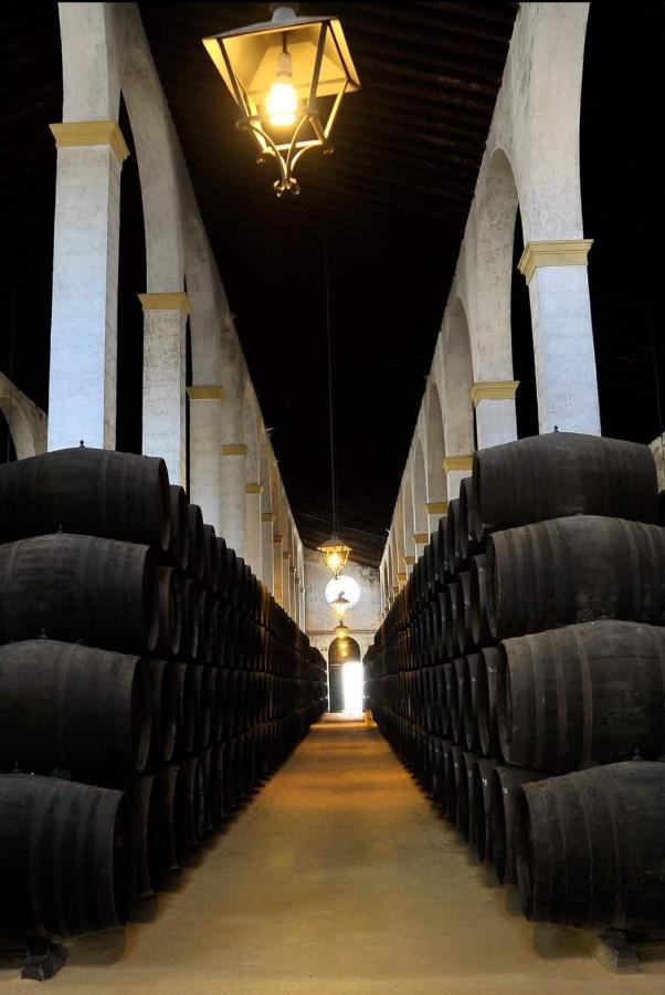 Sherryflat Palmeras Jerez de la Frontera Exterior foto